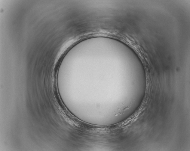 X0000088610102200705250907