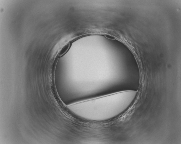 X0000088610103200705250907