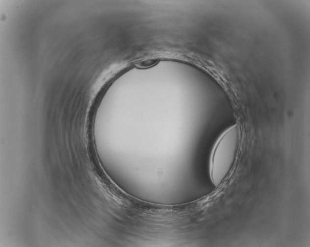 X0000088610104200705250907