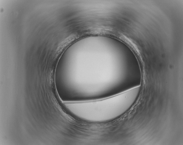 X0000088610105200705250907