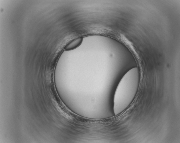 X0000088610106200705250907