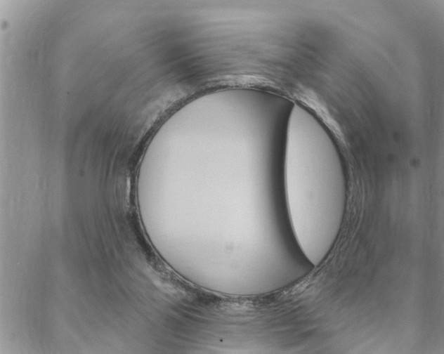 X0000088610110200705250907