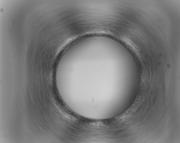 X0000088610112200705250907