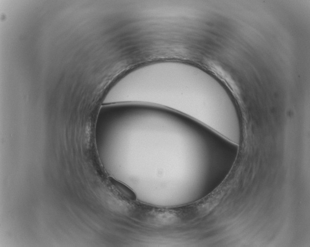 X0000088610113200705250907