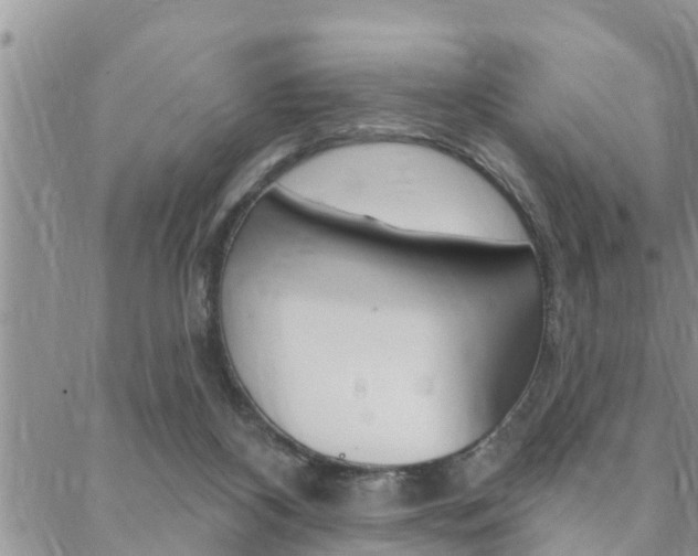 X0000088610116200705250907