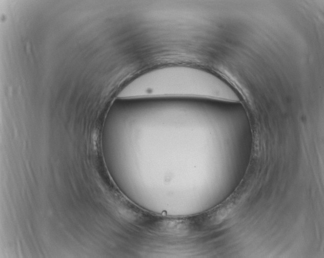 X0000088610117200705250907