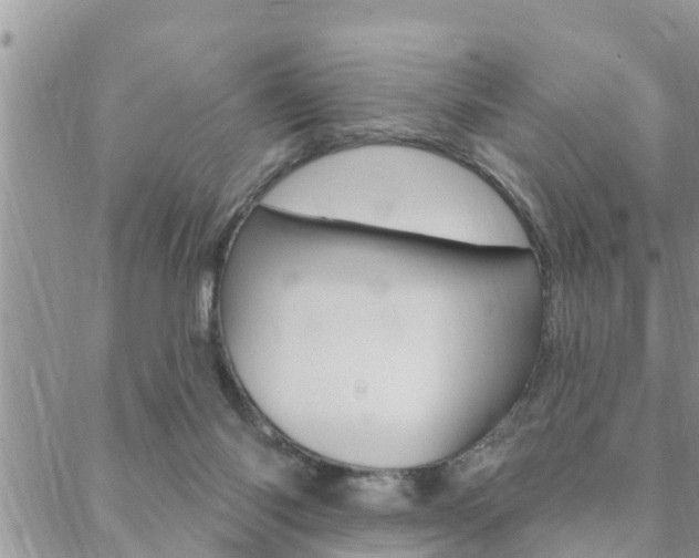 X0000088610118200705250907