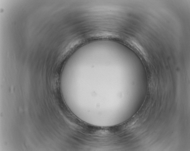 X0000088610119200705250907