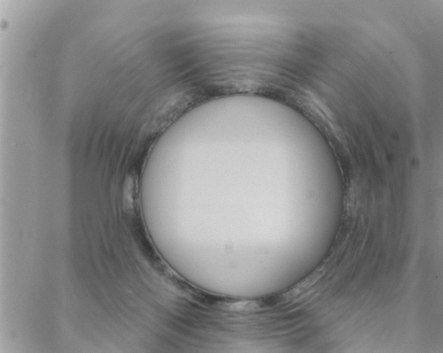 X0000088610122200705250907