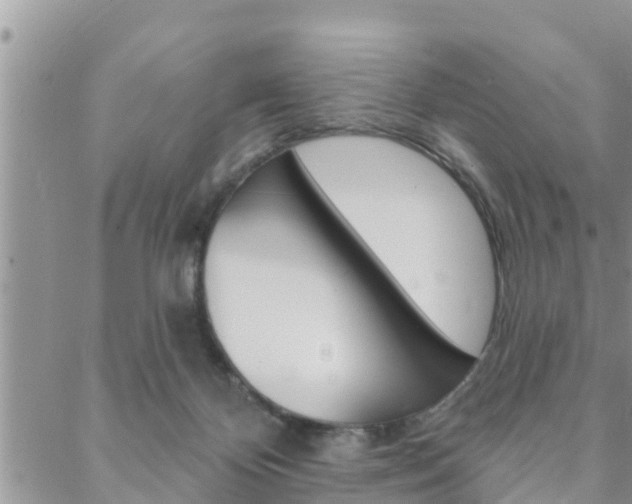 X0000088610124200705250907