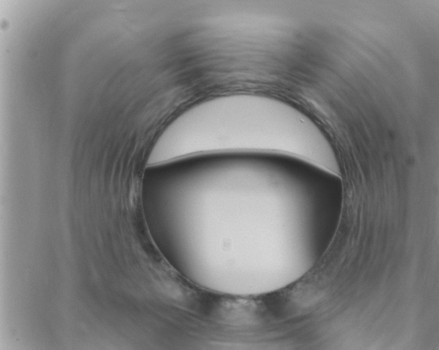 X0000088610125200705250907