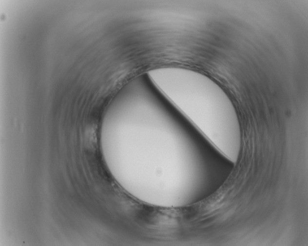 X0000088610127200705250907