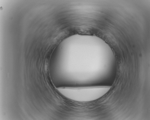 X0000088610129200705250907