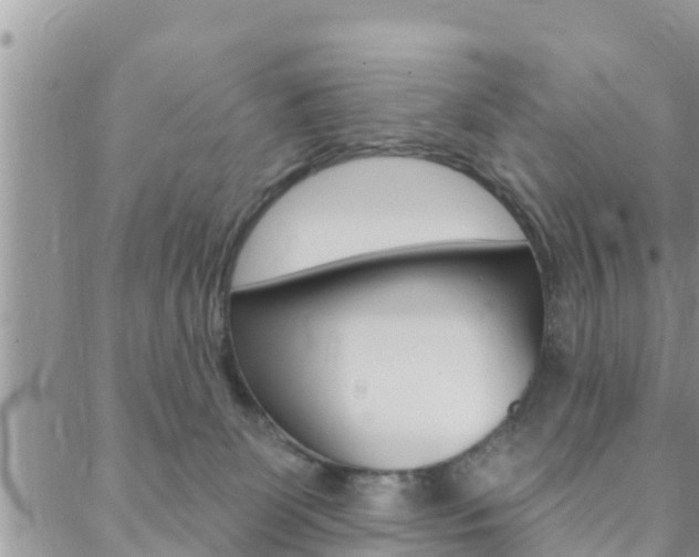 X0000088610131200705250907