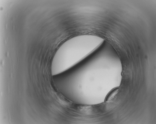 X0000088610132200705250907