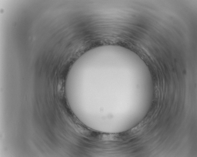 X0000088610134200705250907