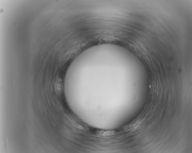 X0000088610135200705250907