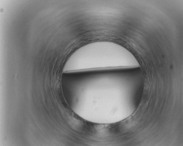 X0000088610136200705250907