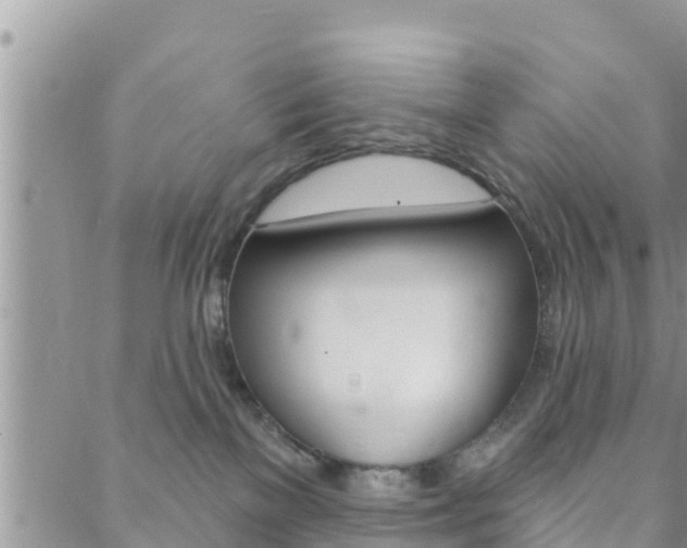 X0000088610137200705250907