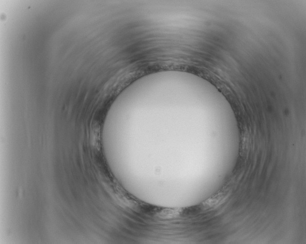 X0000088610138200705250907