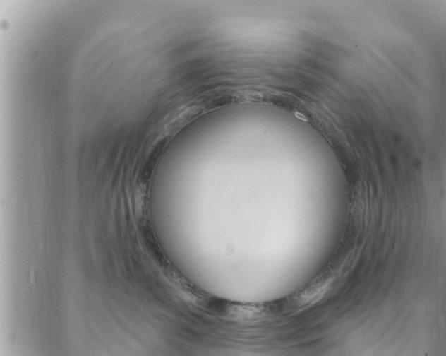 X0000088610139200705250907