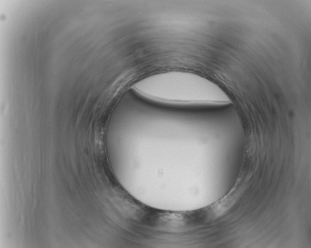 X0000088610140200705250907