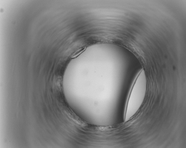 X0000088610141200705250907