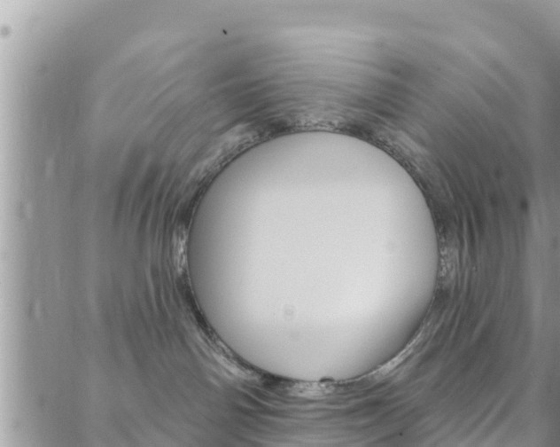 X0000088610142200705250907