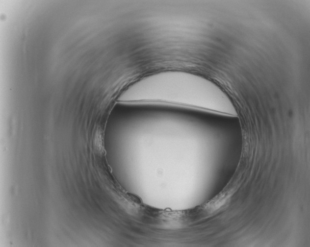 X0000088610143200705250907