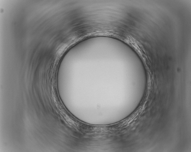 X0000088610145200705250906