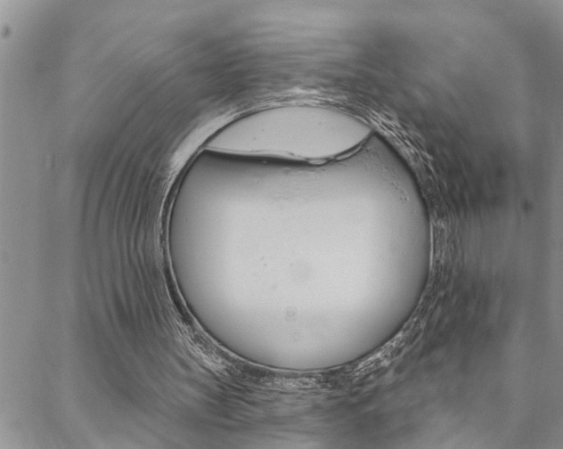 X0000088610147200705250906