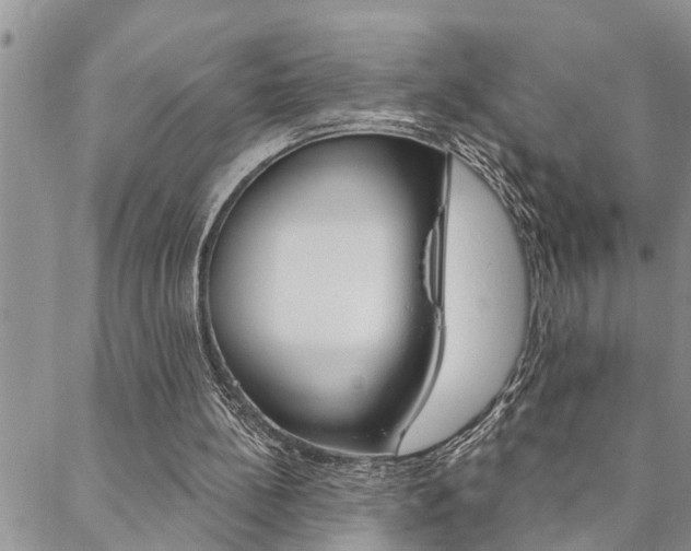 X0000088610148200705250906