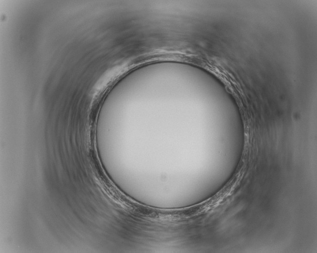 X0000088610149200705250906