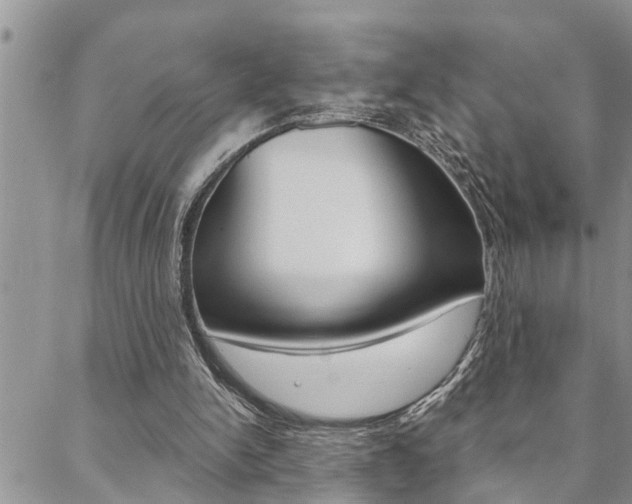 X0000088610150200705250906