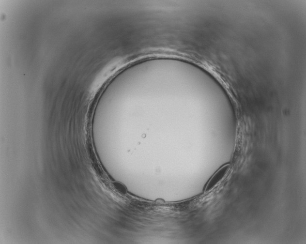 X0000088610151200705250906