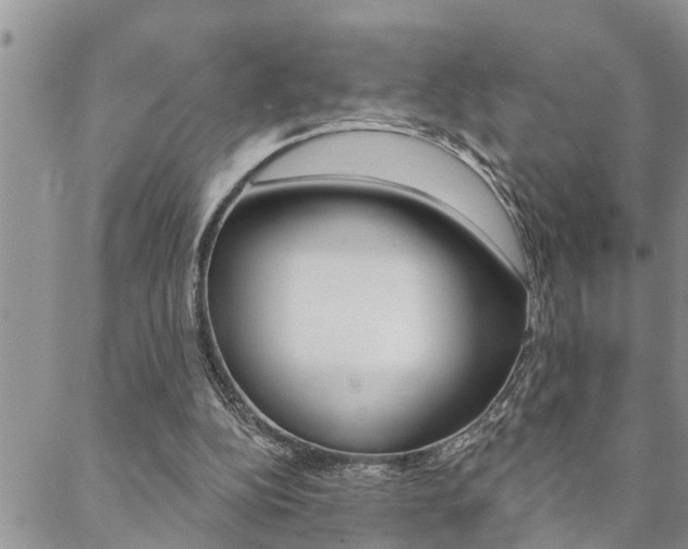 X0000088610152200705250906