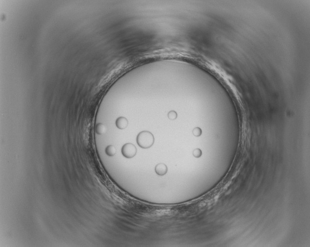 X0000088610153200705250906