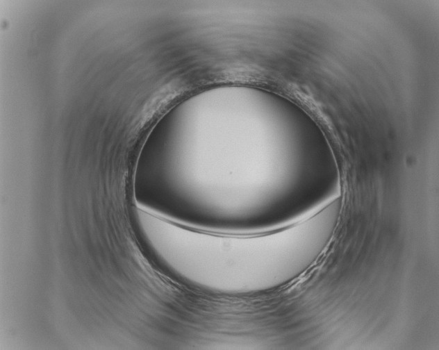 X0000088610154200705250906