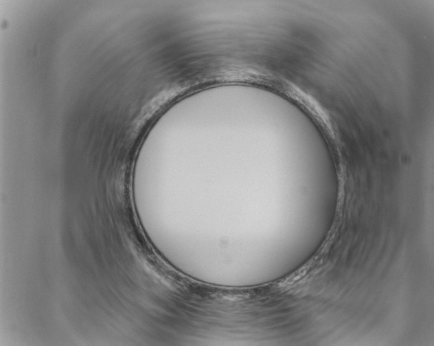 X0000088610155200705250906