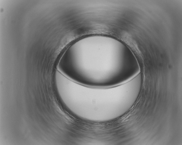 X0000088610156200705250906