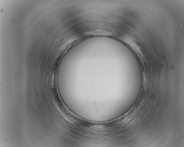 X0000088610157200705250906