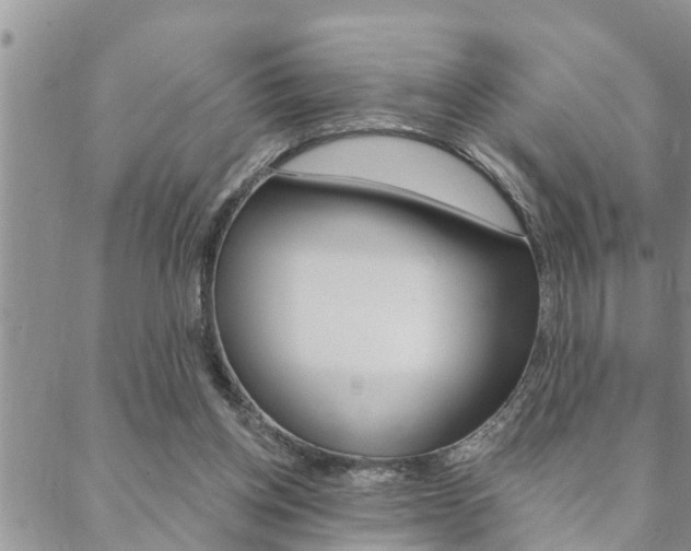 X0000088610158200705250906