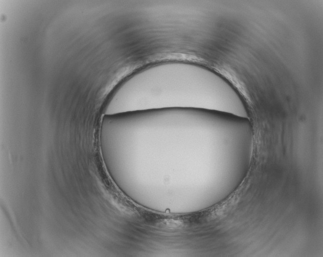 X0000088610159200705250906