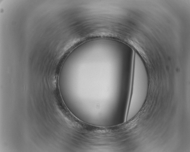 X0000088610160200705250906