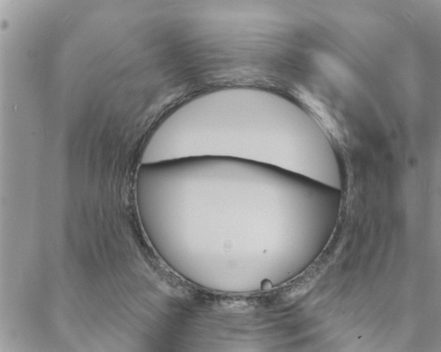 X0000088610161200705250906