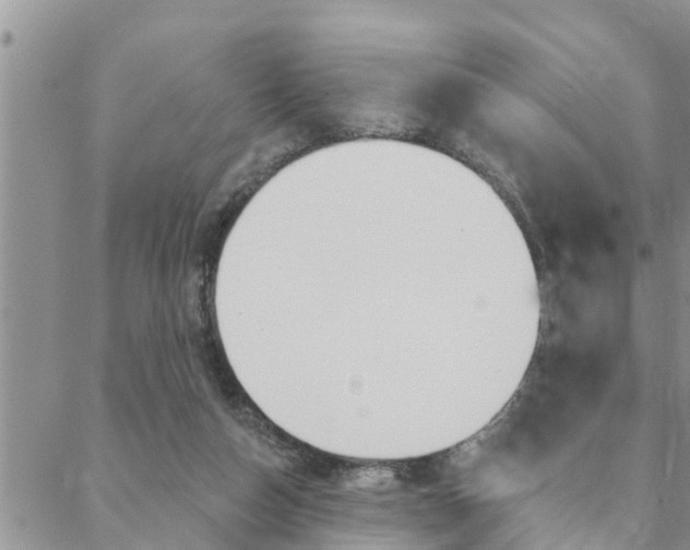 X0000088610162200705250906