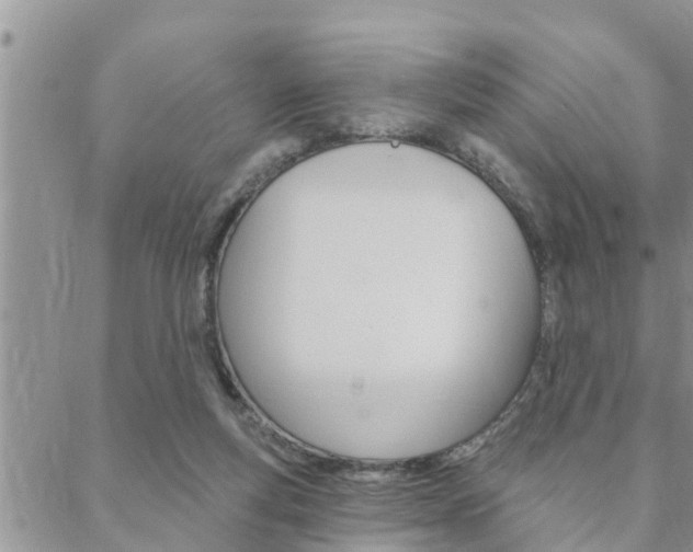 X0000088610163200705250906