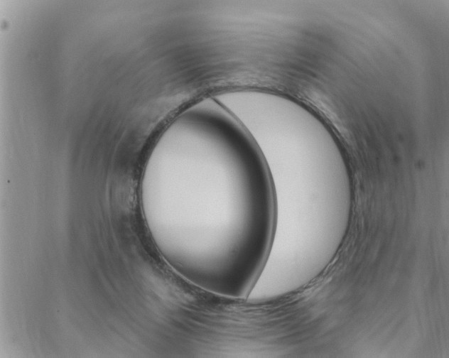 X0000088610164200705250906