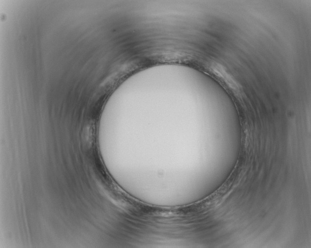 X0000088610165200705250906