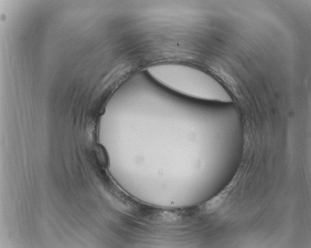 X0000088610166200705250906